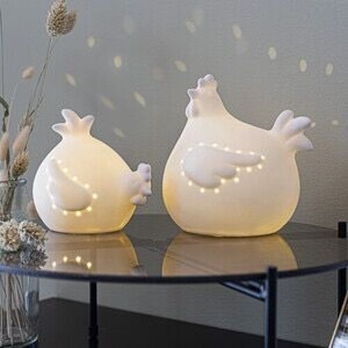 Poule LED lot