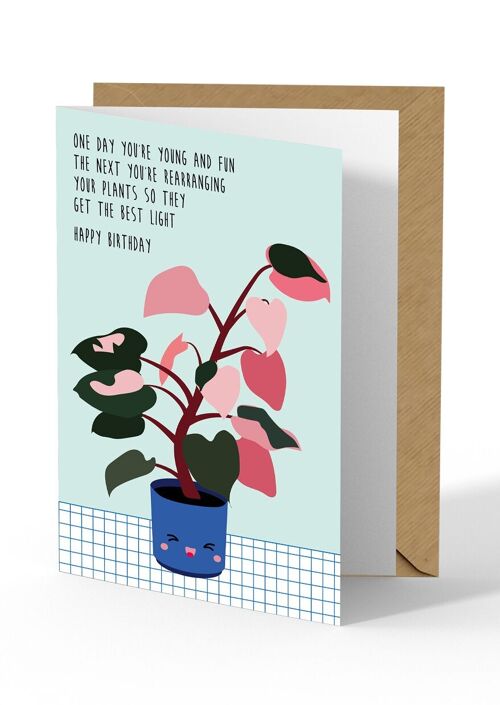 Greeting card Plant Young and fun Birthday card with houseplant