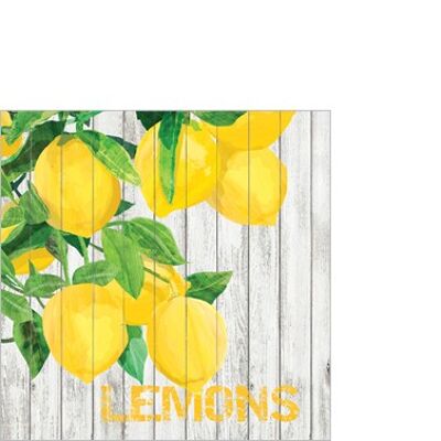 Récolte Citrons 25x25 cm
