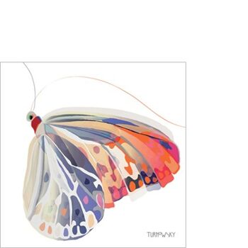Papillon Corfou 25x25 cm