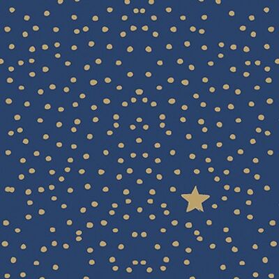 The Star Money blu scuro 25x25 cm