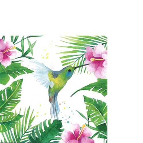 Tropical Hummingbird 25x25 cm