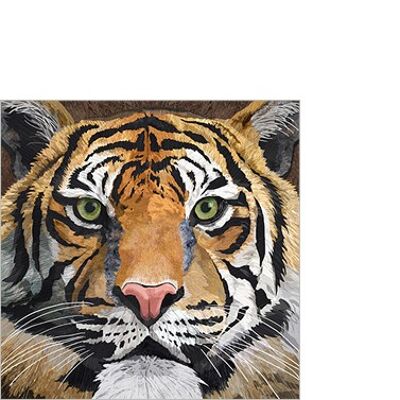 Tigre salvaje 25x25 cm