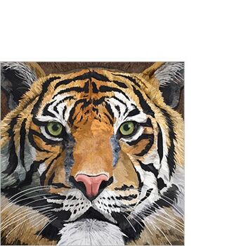 Tigre sauvage 25x25 cm