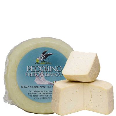 Fresh Calabrian pecorino cheese 1kg