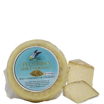 Fromage pecorino calabrais affiné 1kg