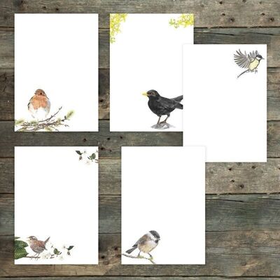 Stationery set birds