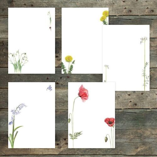 Briefpapier-Set 5x Wiesenblumen