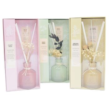 Diffuseur Parfums + Fleurs 100Ml 1