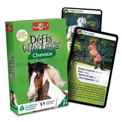 Desafíos de la naturaleza: caballos franceses
