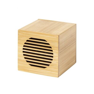 Ecological bamboo speakers