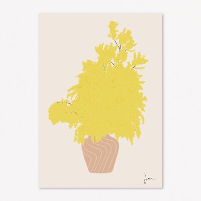 Der süße Duft von Mimosa – Botanisches Kunstposter – Rosa