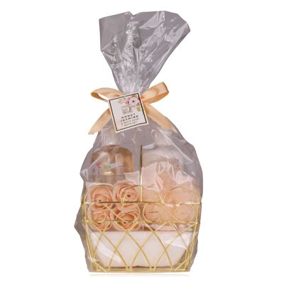 Juego de carrocería MIEL JAZMÍN - 500032