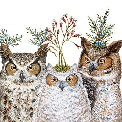 Holiday Hoot 25x25 cm