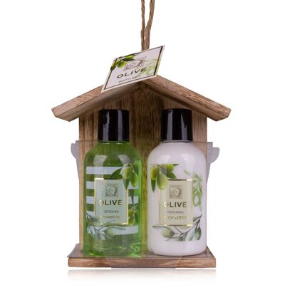 Set carrozzeria OLIVA - 500426