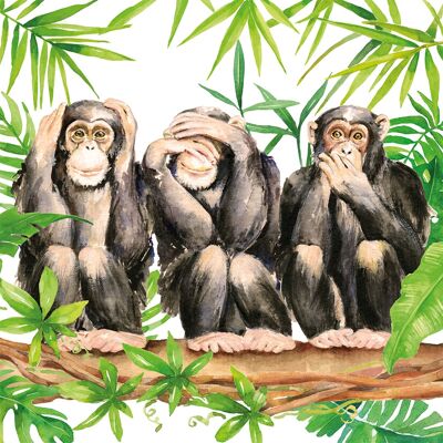 Tre scimmie 25x25 cm