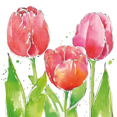 Tulipanes rosas 25x25 cm