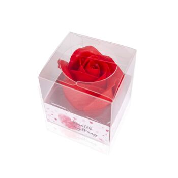 Rose de savon - 230323 2