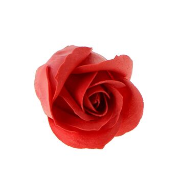 Rose de savon - 230323 3