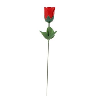 Rose de savon Rose-Fuchsia-Rouge - 230425 2