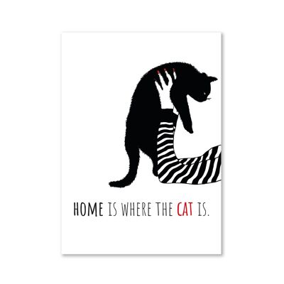 Imán - El hogar es donde está el gato