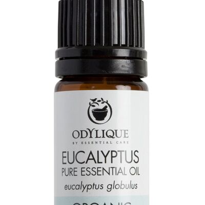 Olio Essenziale di Eucalipto Biologico 5ml