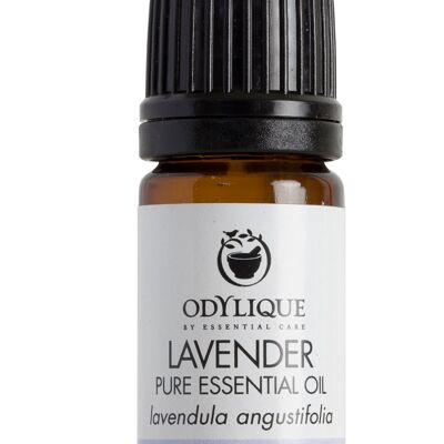 Lavender Essential Oil Organic 5ml