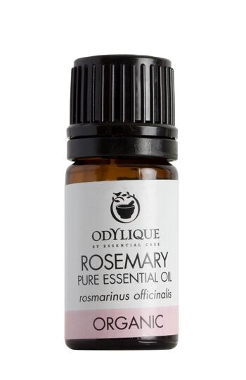 Huile Essentielle de Romarin Bio 5 ml