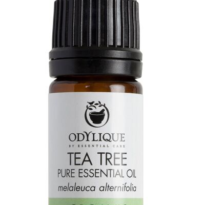 Ätherisches Teebaumöl Bio 5 ml