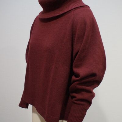 ALMA BORDEAUX Pullover