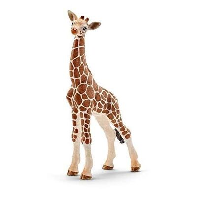 Schleich - Figurina di cucciolo di giraffa: 6,8 x 3,5 x 11,8 cm - Wild Life Universe - Rif: 14751