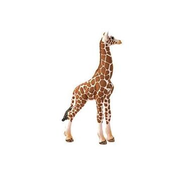 Schleich - figurine Bébé girafe : 6,8 x 3,5 x 11,8 cm - Univers Wild Life - Réf : 14751 3