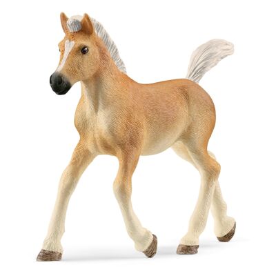 Schleich - Haflinger Foal Figurine: 9 x 1.9 x 7 cm - Univers Horse Club - Ref: 13951