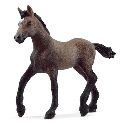 Schleich - Peruvian Paso Foal Figurine: 9.7 x 2 x 8 cm - Univers Horse Club - Ref: 13954