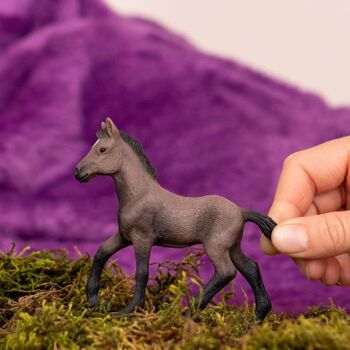 Schleich - Figurine  Poulain Paso Péruvien : 9,7 x 2 x 8 cm - Univers Horse Club - Réf : 13954 2