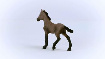 Schleich - Figurine  Poulain Paso Péruvien : 9,7 x 2 x 8 cm - Univers Horse Club - Réf : 13954 3