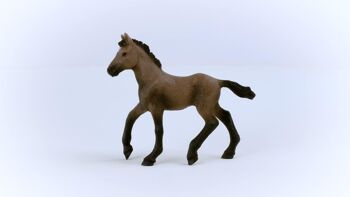 Schleich - Figurine  Poulain Paso Péruvien : 9,7 x 2 x 8 cm - Univers Horse Club - Réf : 13954 4