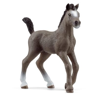Schleich - Figurine Poulain Selle Français : 10 x 2 x 8 cm - Univers Horse Club - Réf : 13957