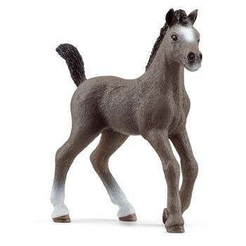 Schleich - Figurine Poulain Selle Français : 10 x 2 x 8 cm - Univers Horse Club - Réf : 13957 1