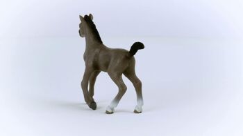 Schleich - Figurine Poulain Selle Français : 10 x 2 x 8 cm - Univers Horse Club - Réf : 13957 3
