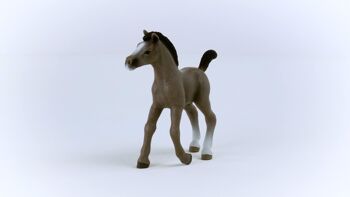 Schleich - Figurine Poulain Selle Français : 10 x 2 x 8 cm - Univers Horse Club - Réf : 13957 4