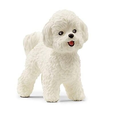 Schleich - Figurine Bichon Frisé : 4,4 x 1,8 x 3,7 cm - Univers Farm World - Réf : 13963