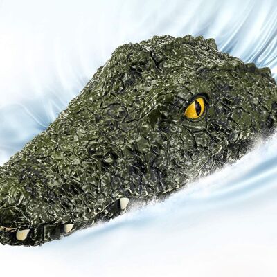 RC Crocodile