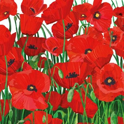 Red Poppies 33x33cm