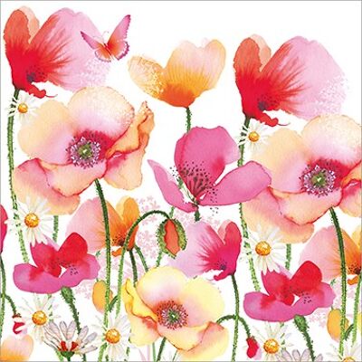 Amapolas y margaritas de acuarela 33x33cm