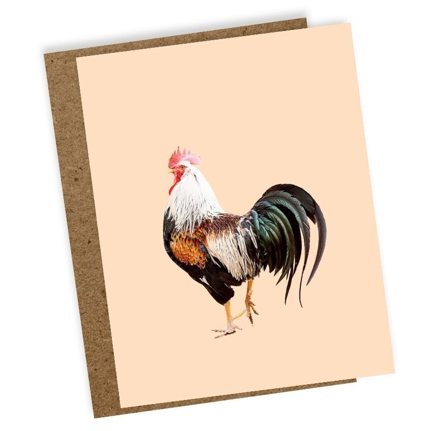 Mini biglietto d'auguri Bob