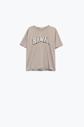 Camiseta hawaiana avec effet lavé et beis 5