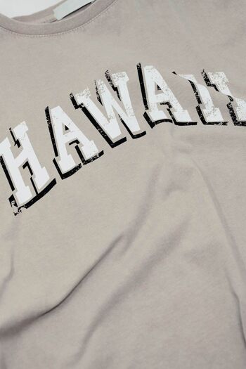 Camiseta hawaiana avec effet lavé et beis 6