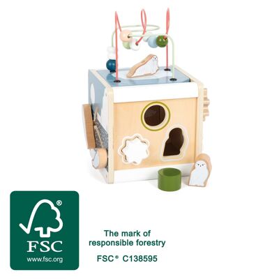 Motor skills cube “Arctic” FSC 100% | Baby toys | Wood