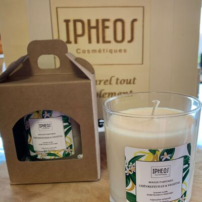 Honeysuckle and vegetable scented candle